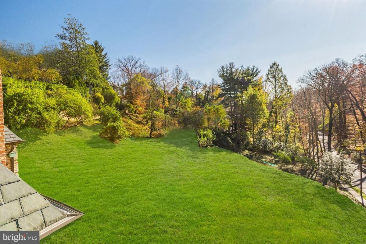 A backyard with green grass.