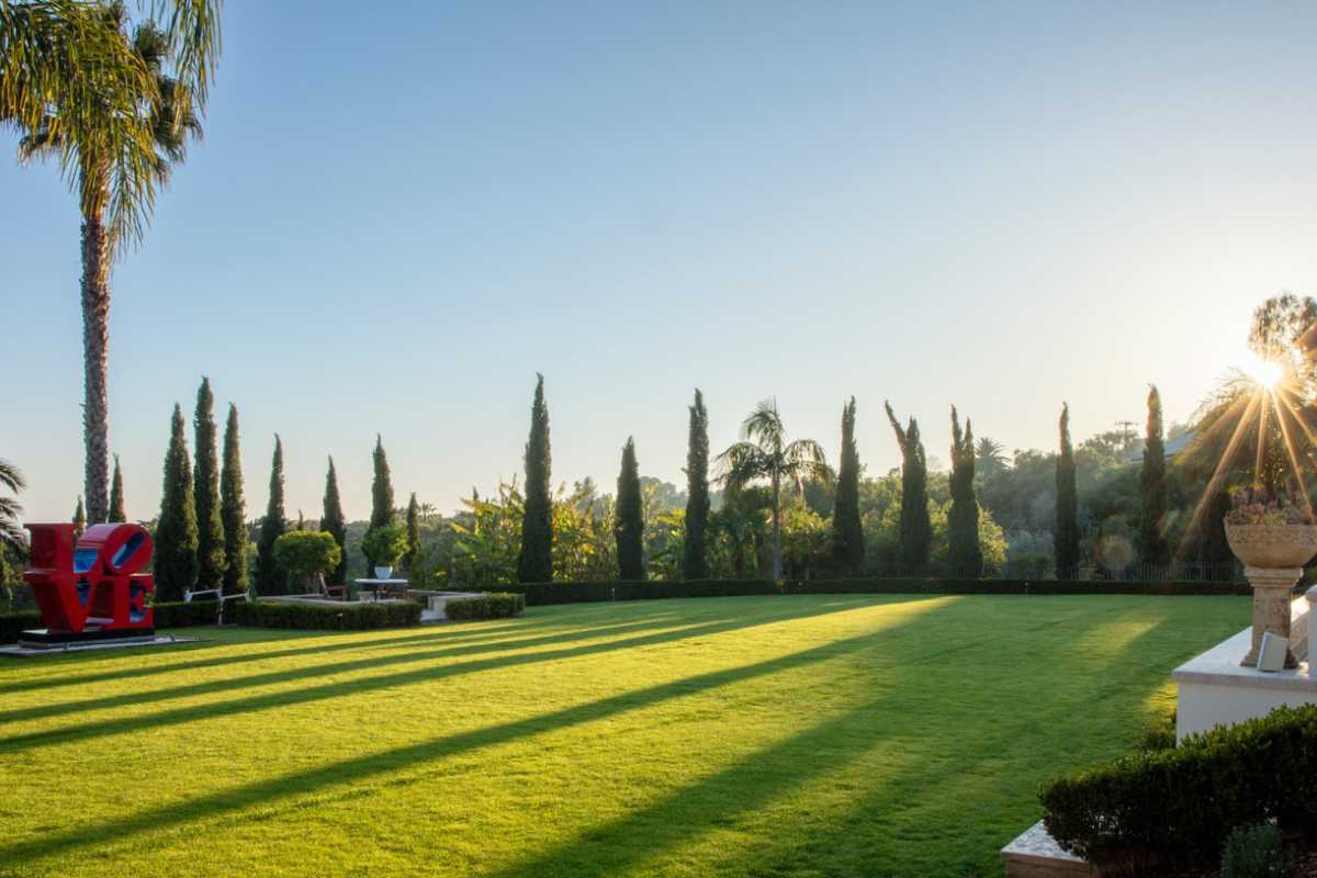 A lawn with green grass and trees