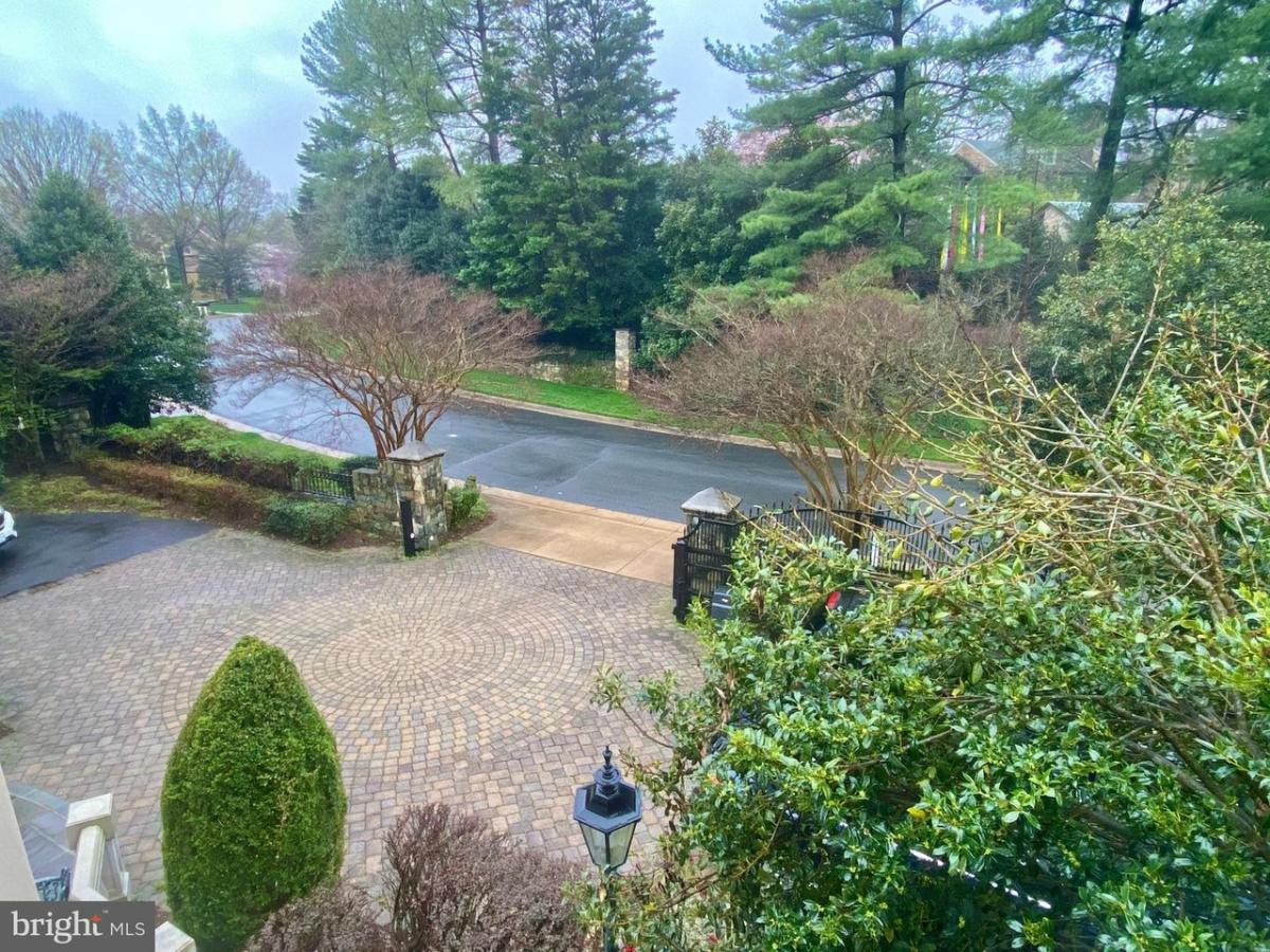 A view of the street from the house.