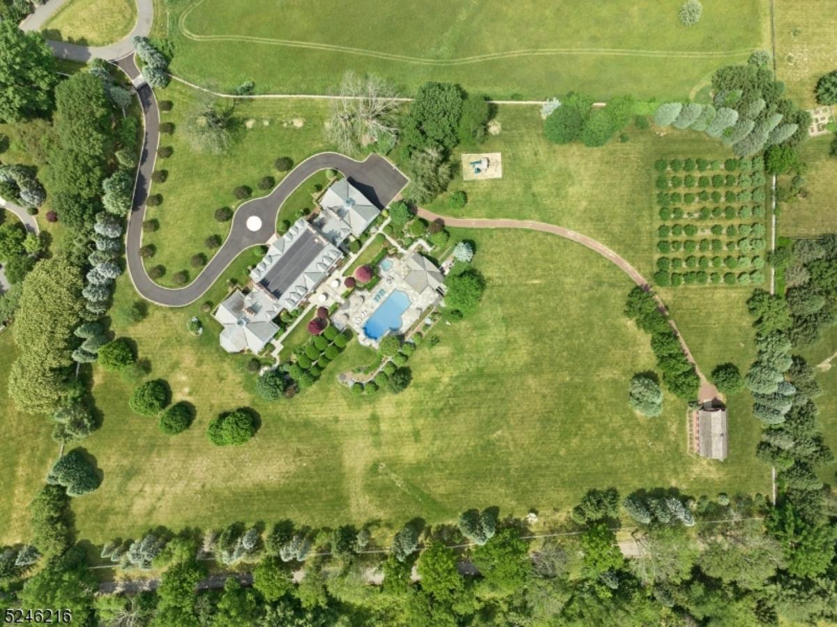 Aerial top view of the mansion.