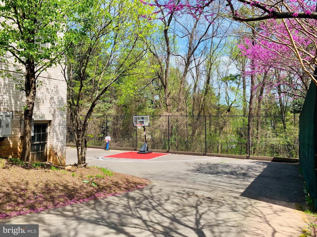Basketball court
