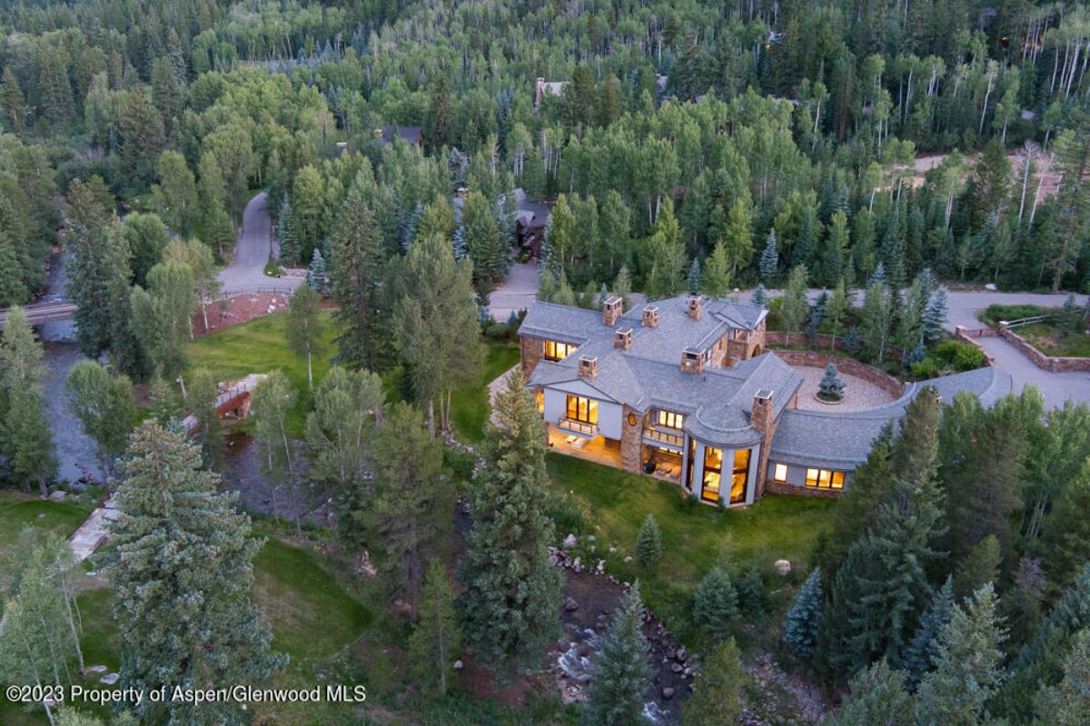 Aerial view of the property surrounded by trees.