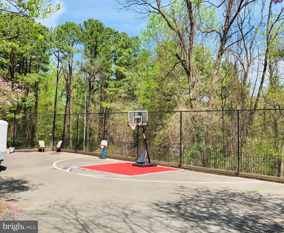 Basketball court