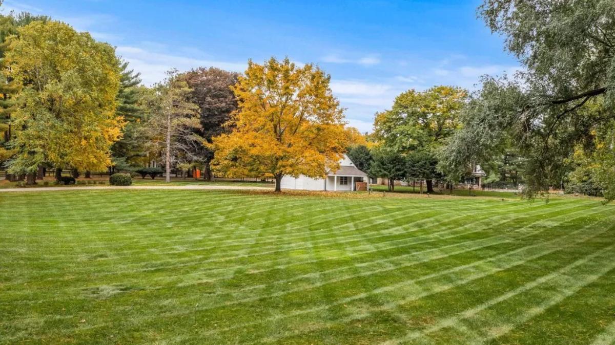 Green lawn yard