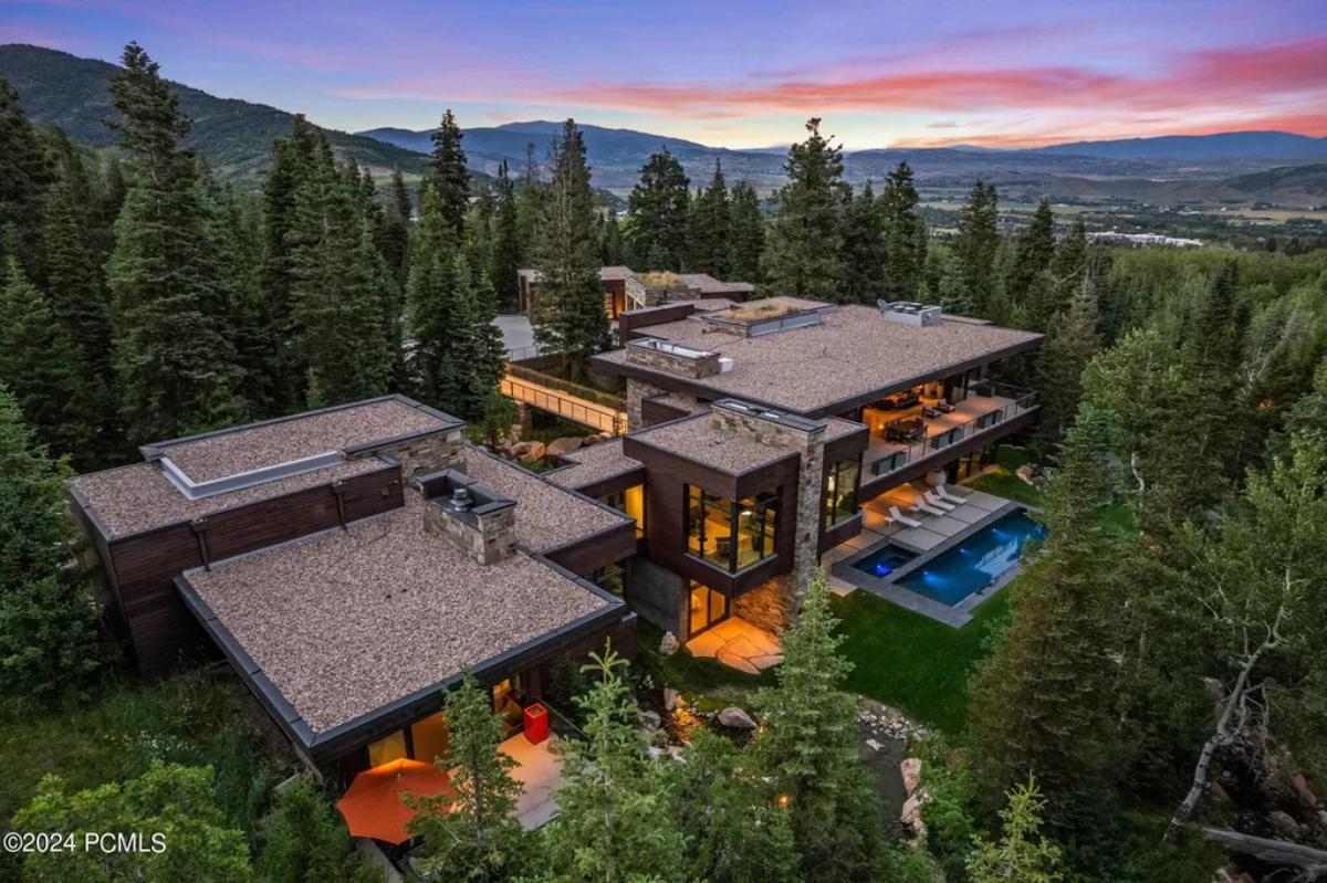 Aerial view of the property surrounded by trees.