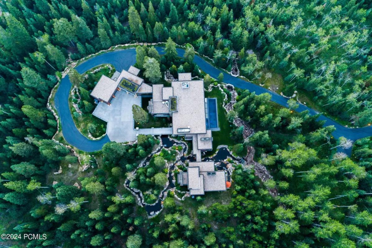 Aerial top view of the property surrounded by trees.