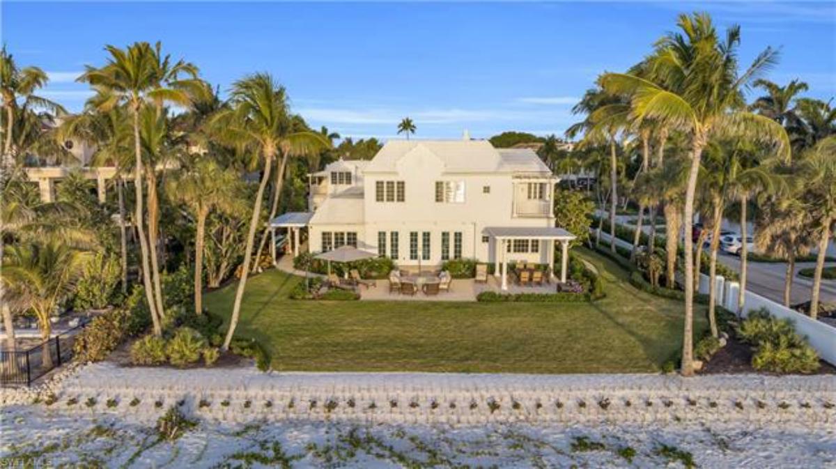 Backyard with green lawn and palm trees.