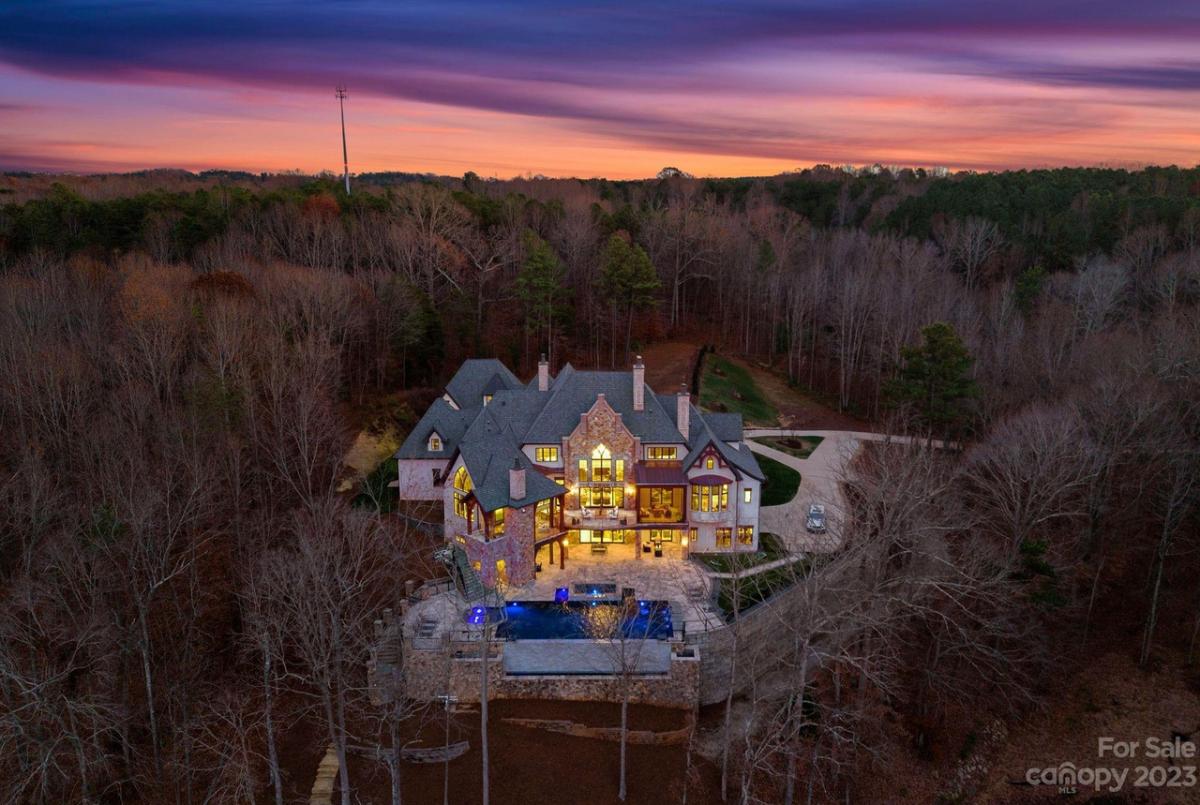 Aerial rear view of the mansion surrounded by trees.