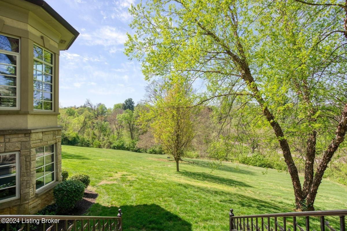 Backyard with a green lawn.