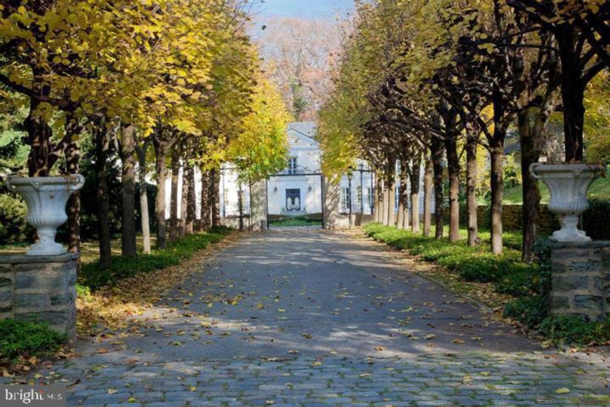 Main gate entry of the mansion with spacious driveway.