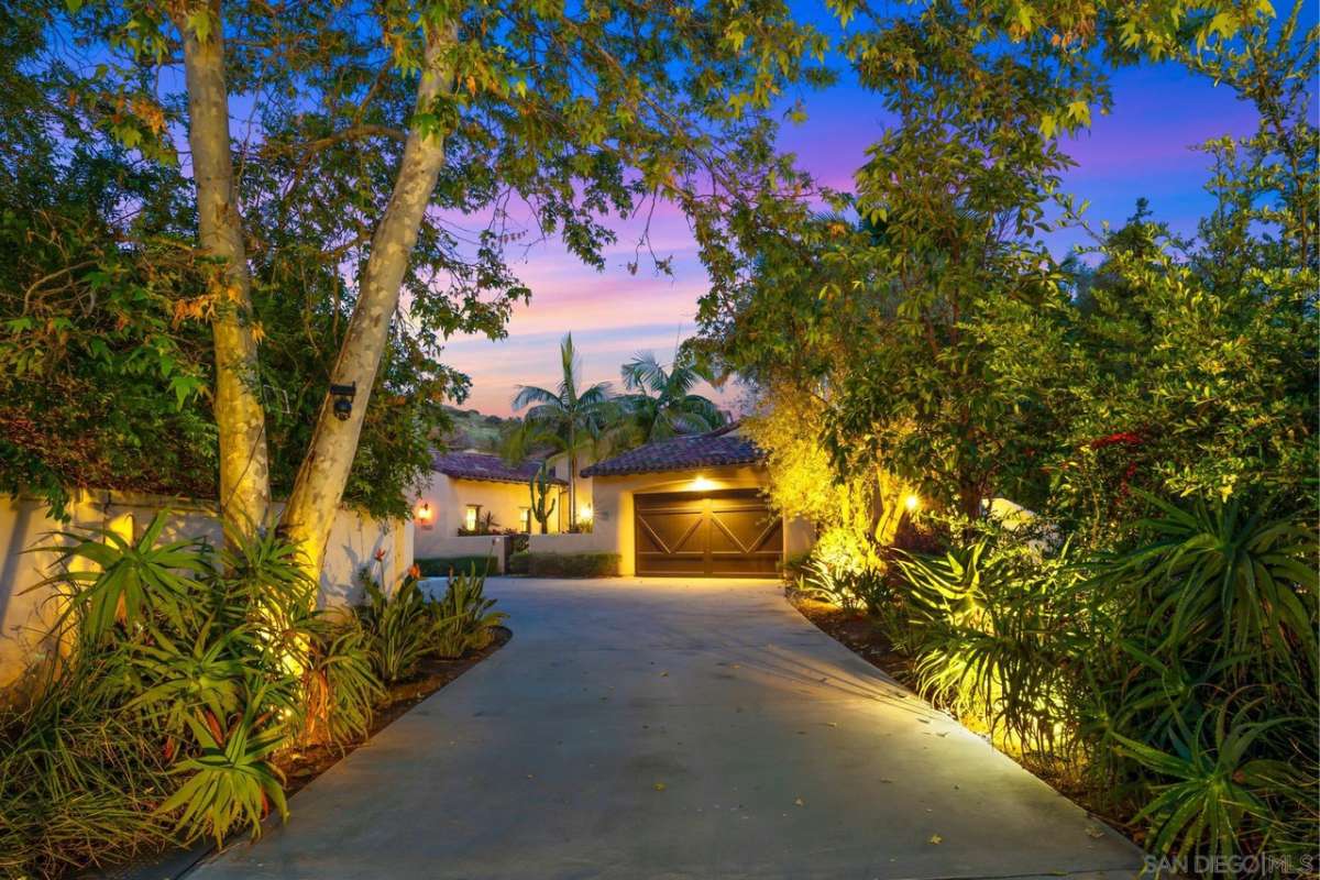 A walkway surrounded by plants and trees.