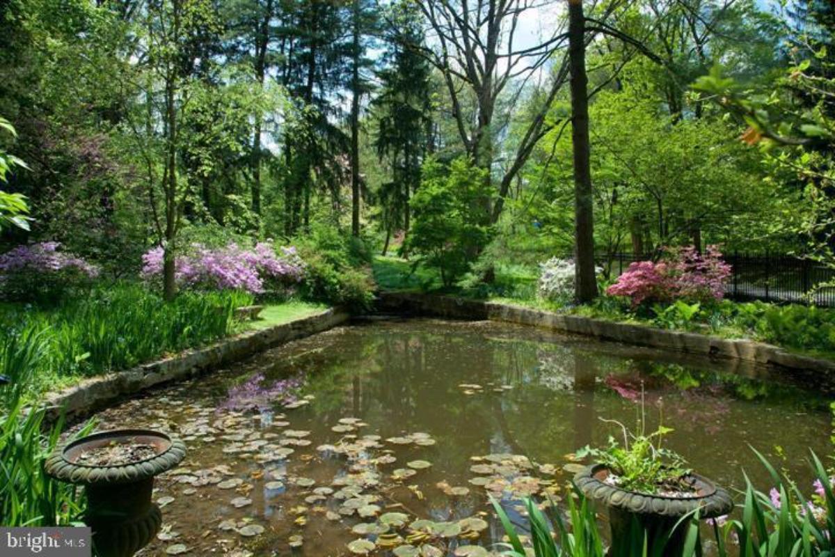 Pond with flowers and trees.
