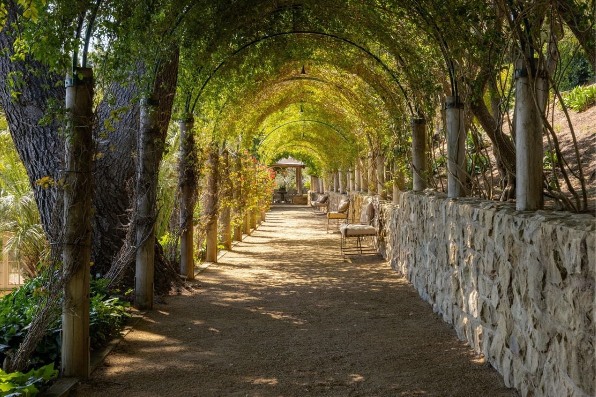 A walkway surrounded by plants.