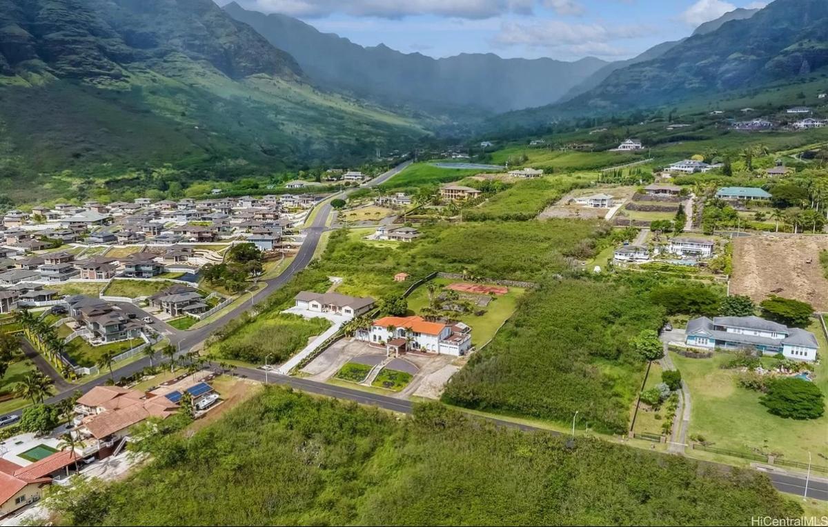 Aerial view of the mansion.