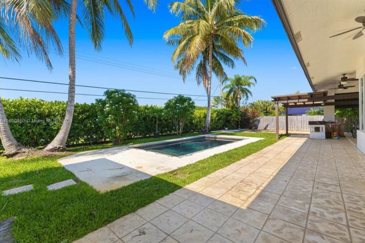 A swimming pool with plants and coconut trees.