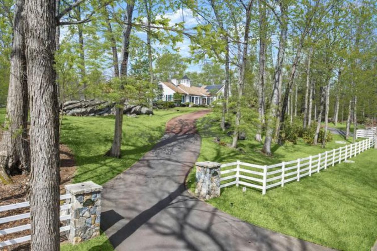 A driveway bordered by grass and trees.