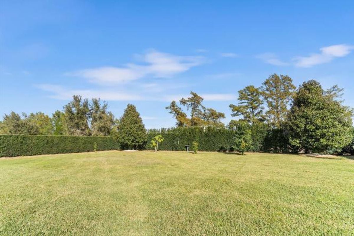 A lawn with green grass, plants, and trees.