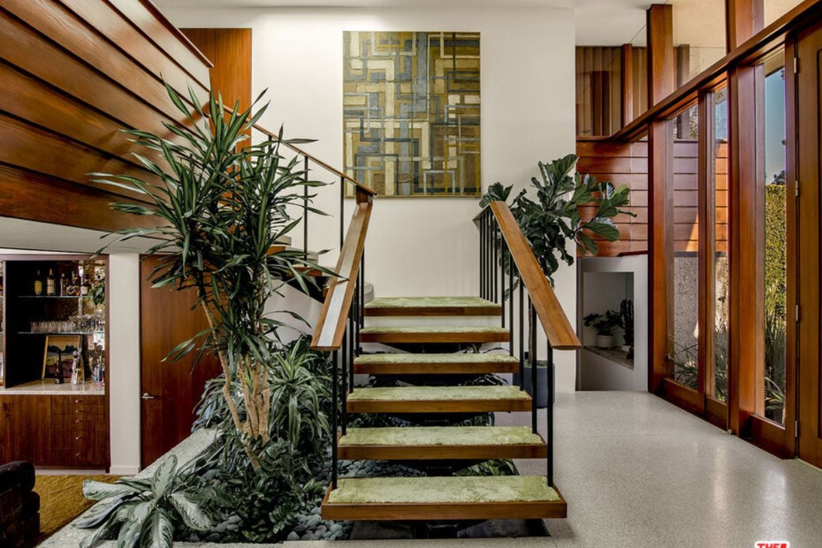 A staircase surrounded by plants.