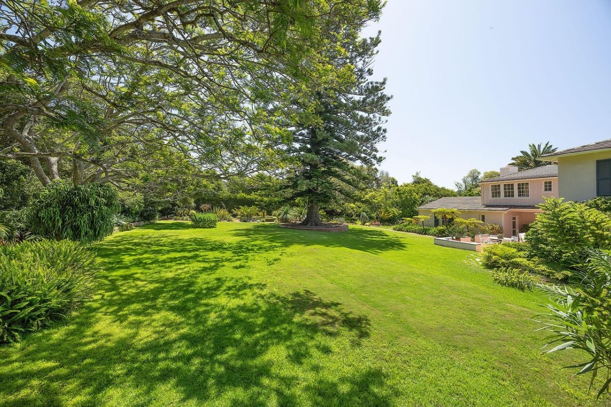 There is a lawn with green grass, plants, and trees.