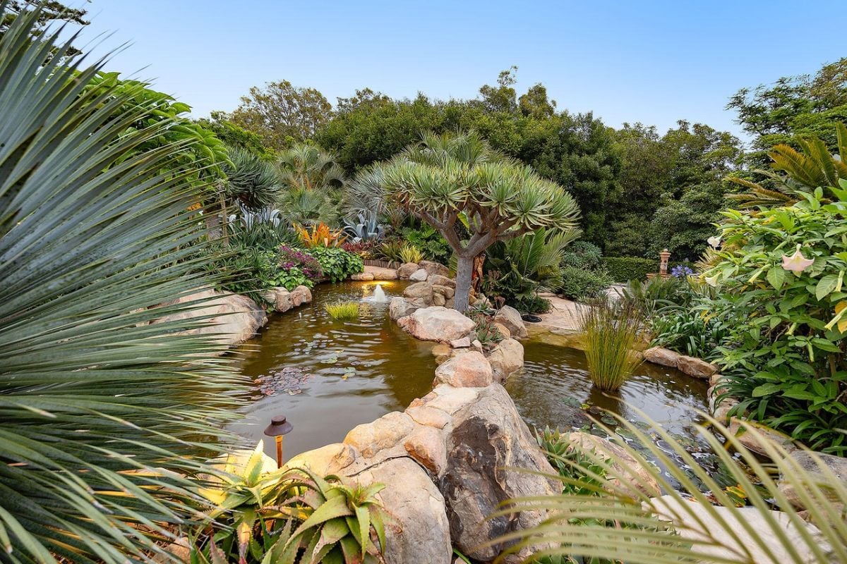A pond with plants and trees.