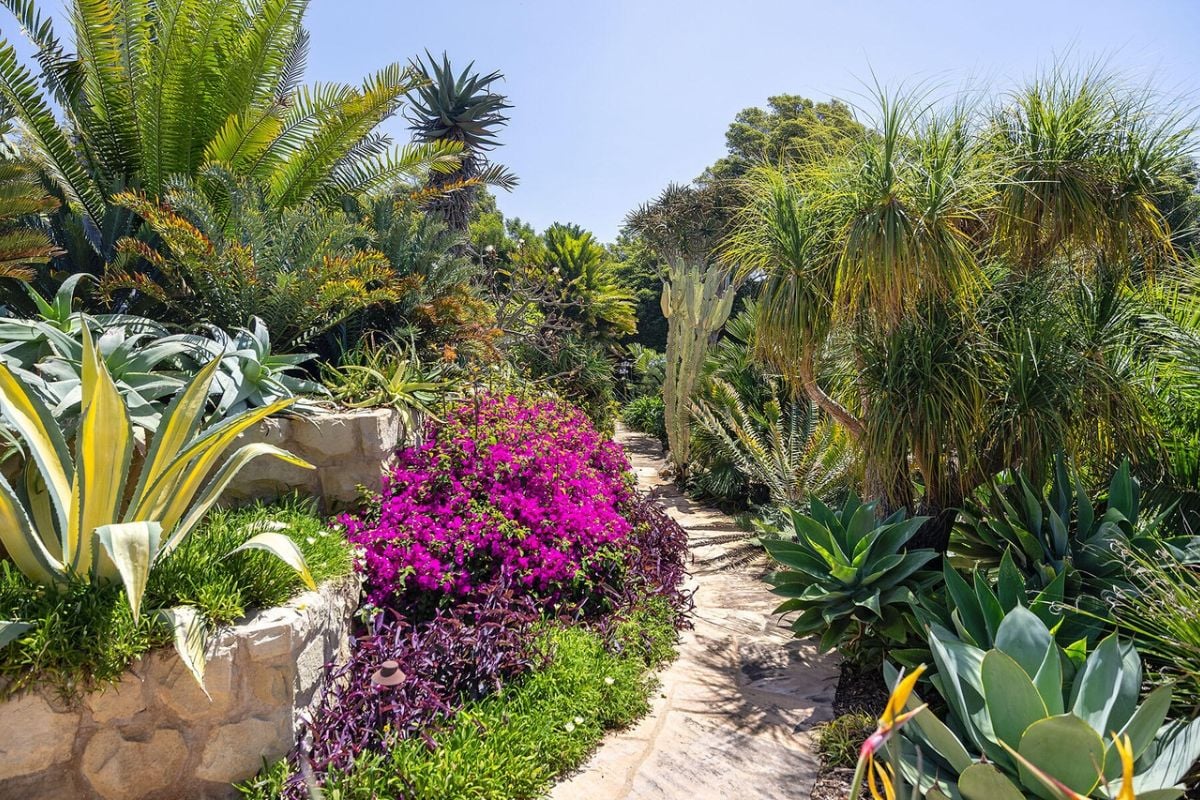 There is a garden with a walkway surrounded by plants and flowers.