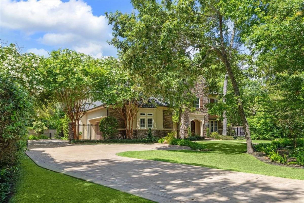 A driveway lined with plants and trees.