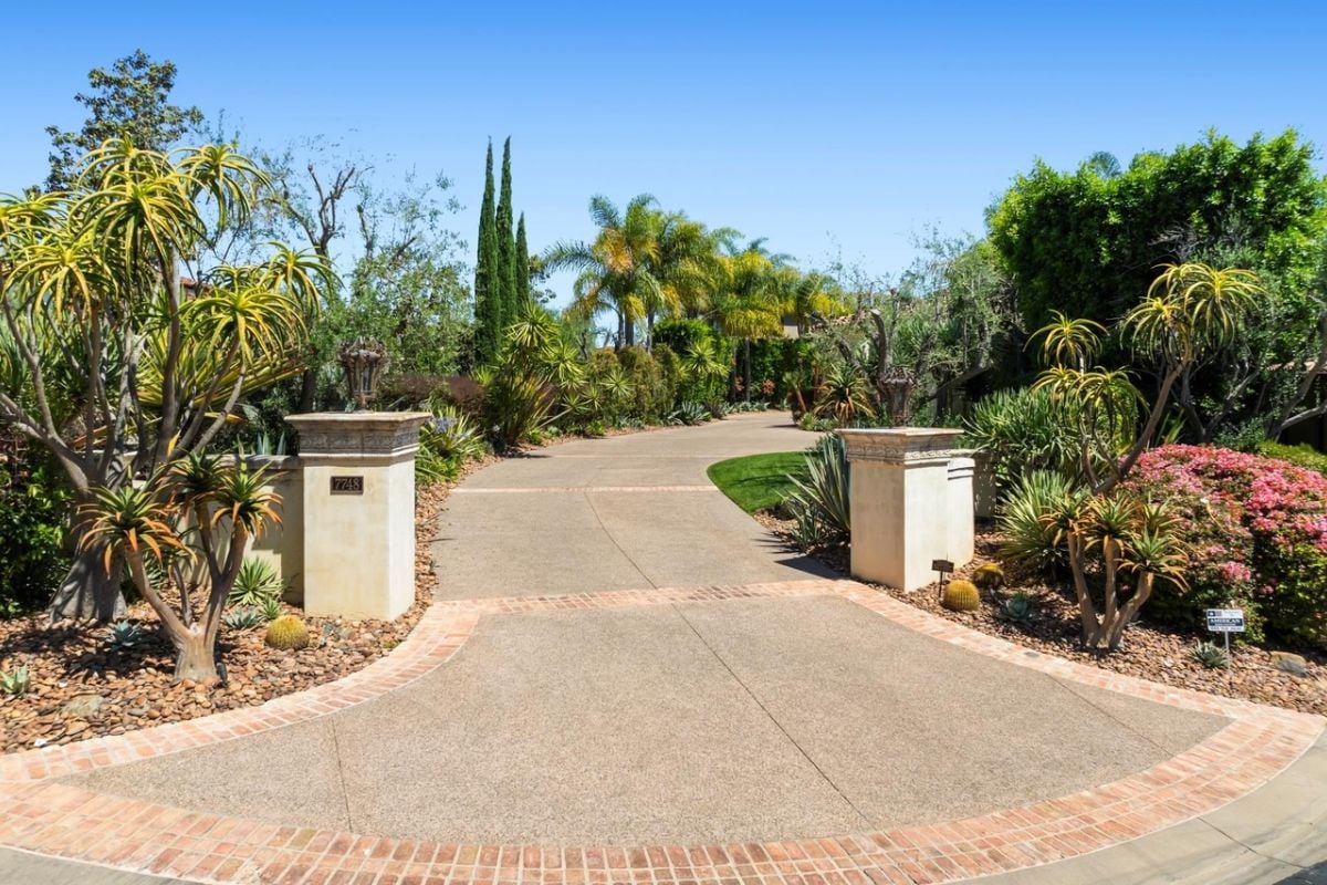 A driveway surrounded by plants and trees.