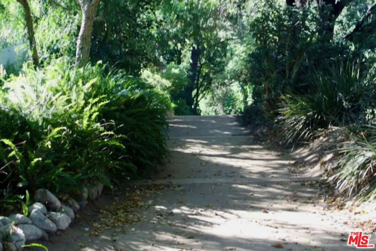 A driveway enveloped by verdant plants and trees.