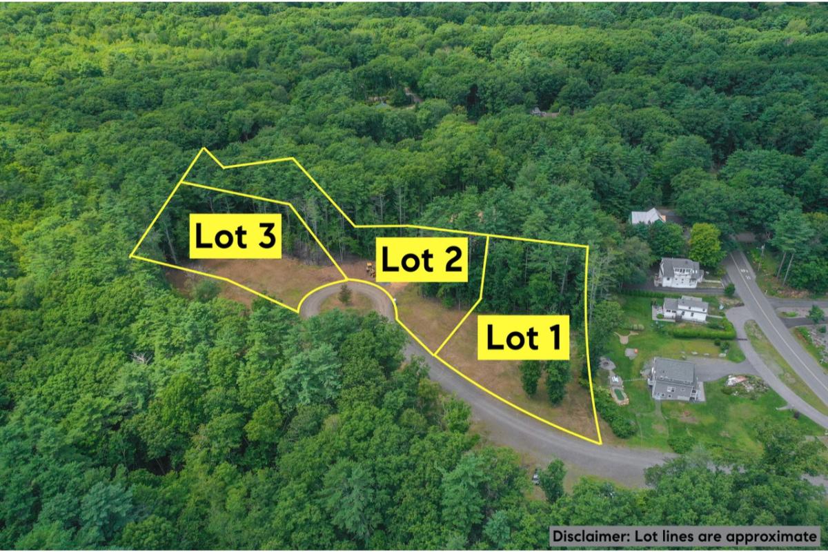 Property's aerial view