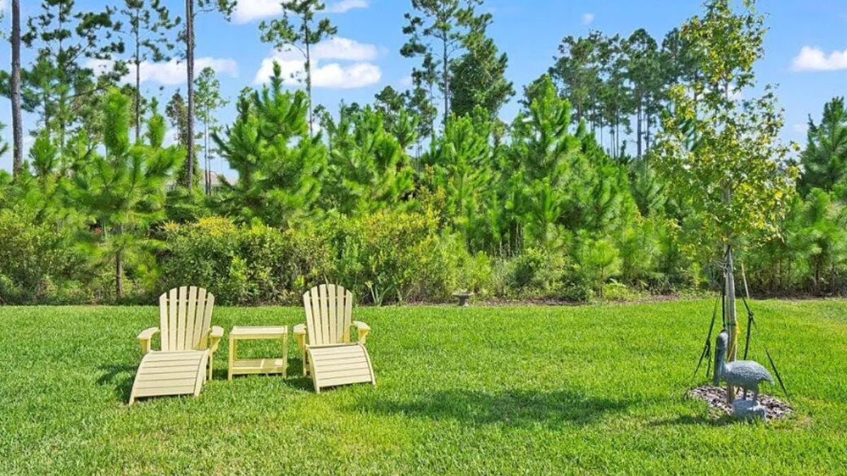 A lawn with green grass, plants, and trees.