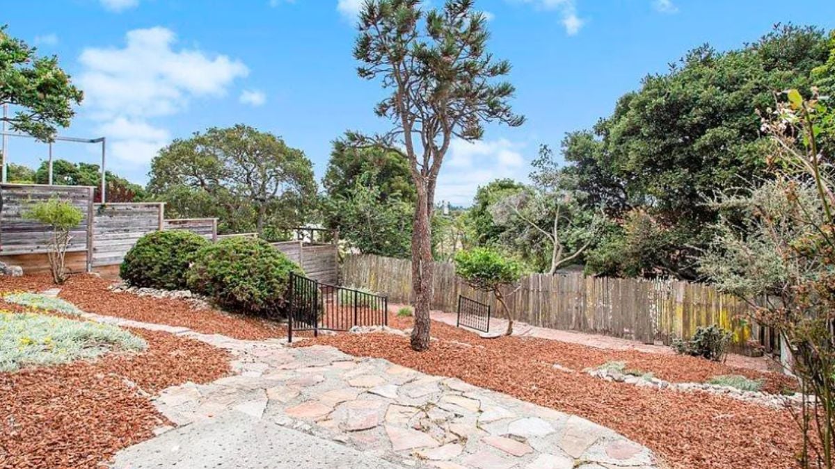 The property's backyard.