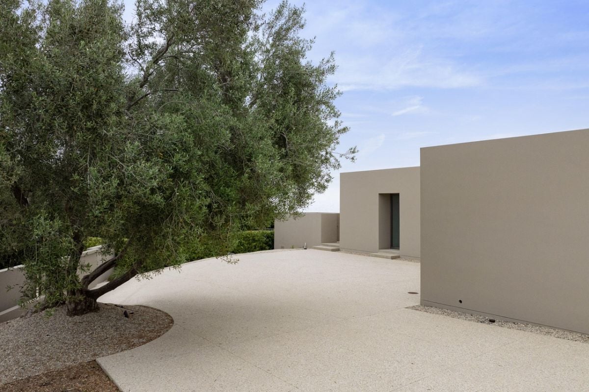 A courtyard with a tree.
