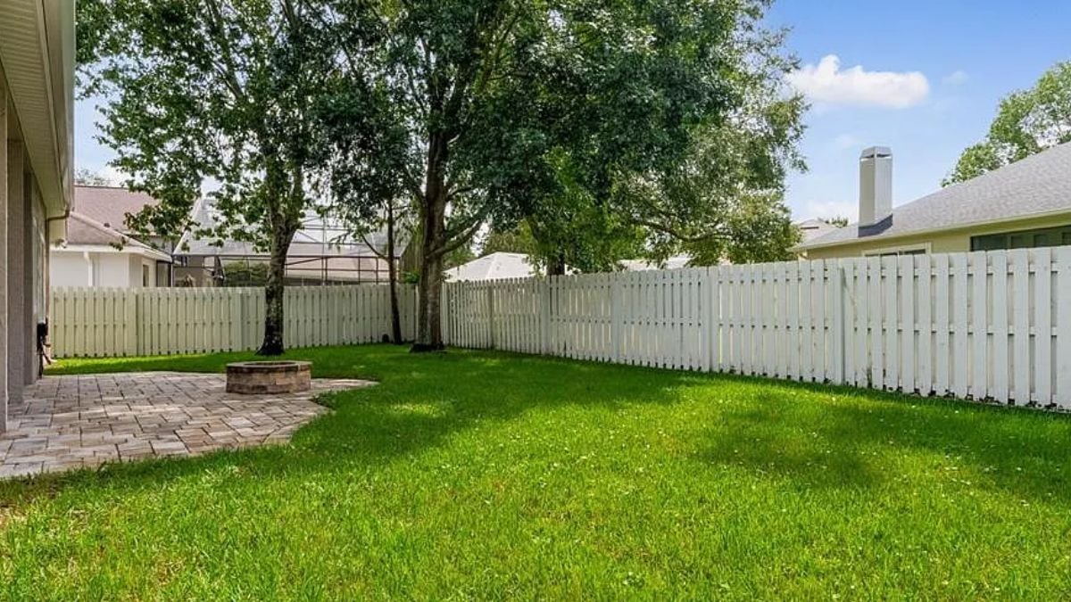 The property's backyard.