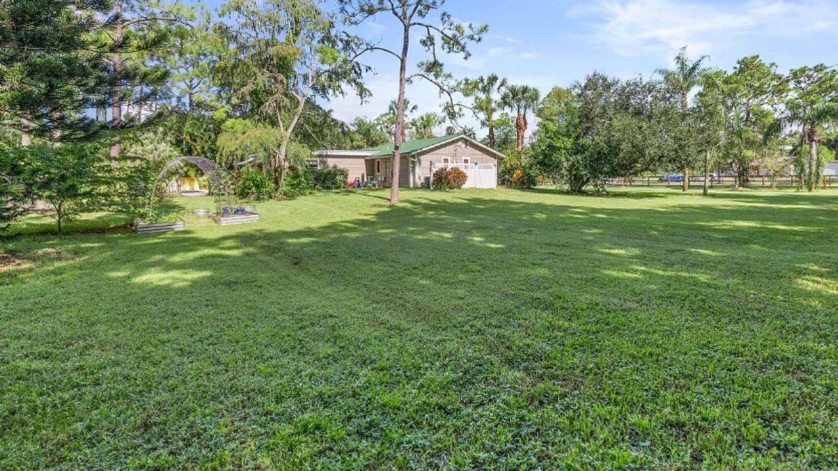 A lawn with green grass, plants, and trees.