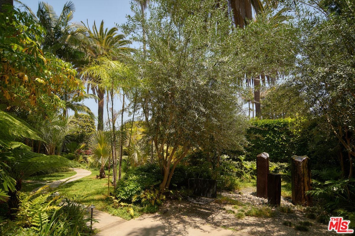 A garden with plants and trees.