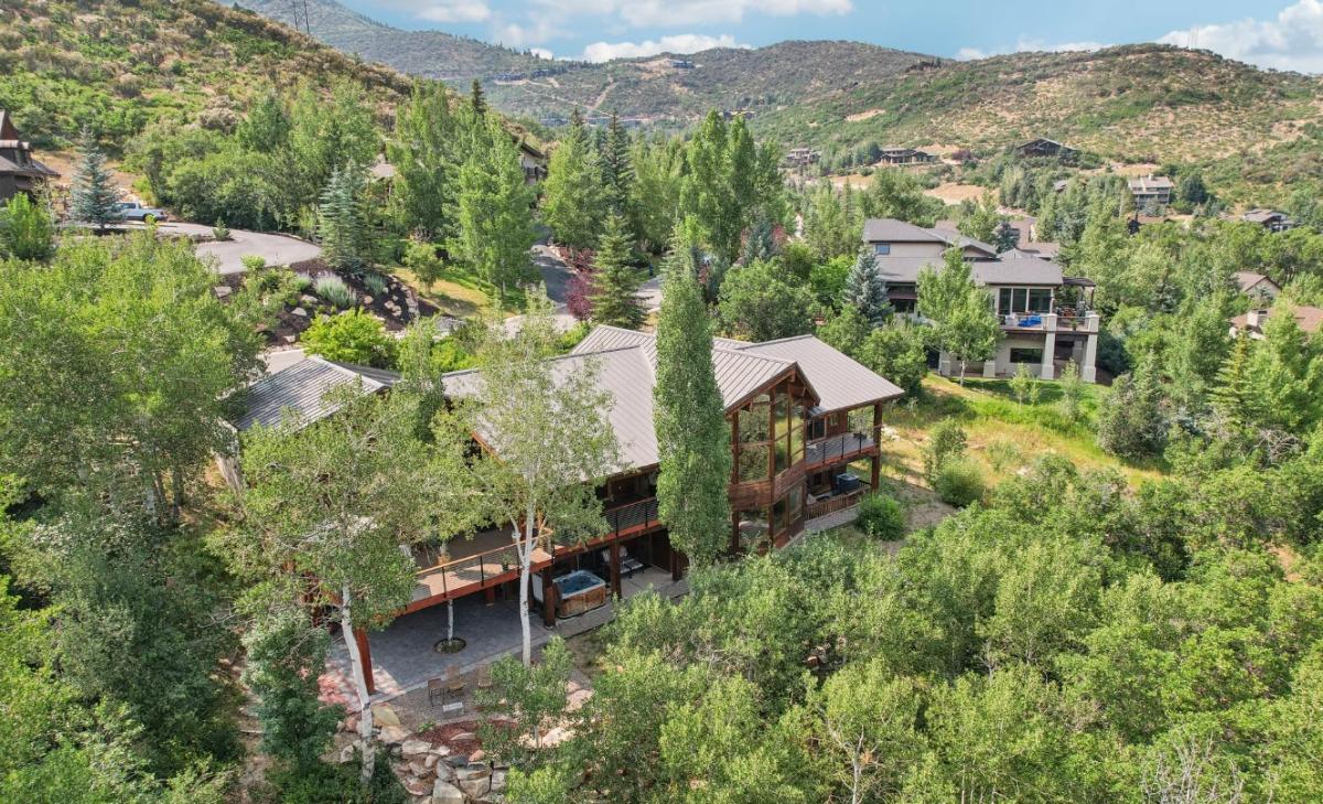 Aerial rear view of the house.