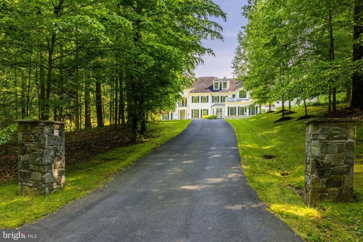 A driveway lined with trees.