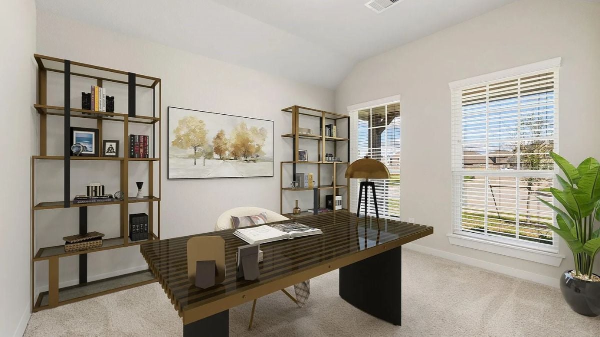 A home office with windows, a houseplant, shelves, a desk, and a chair.