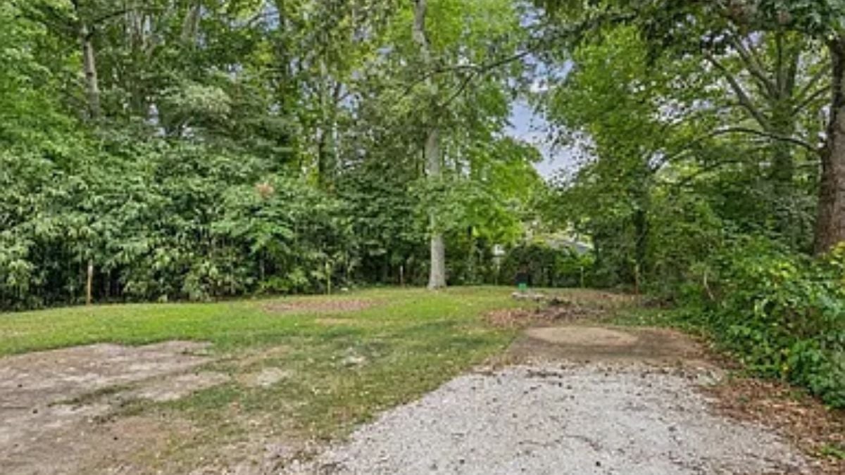 A lawn with plants and trees.