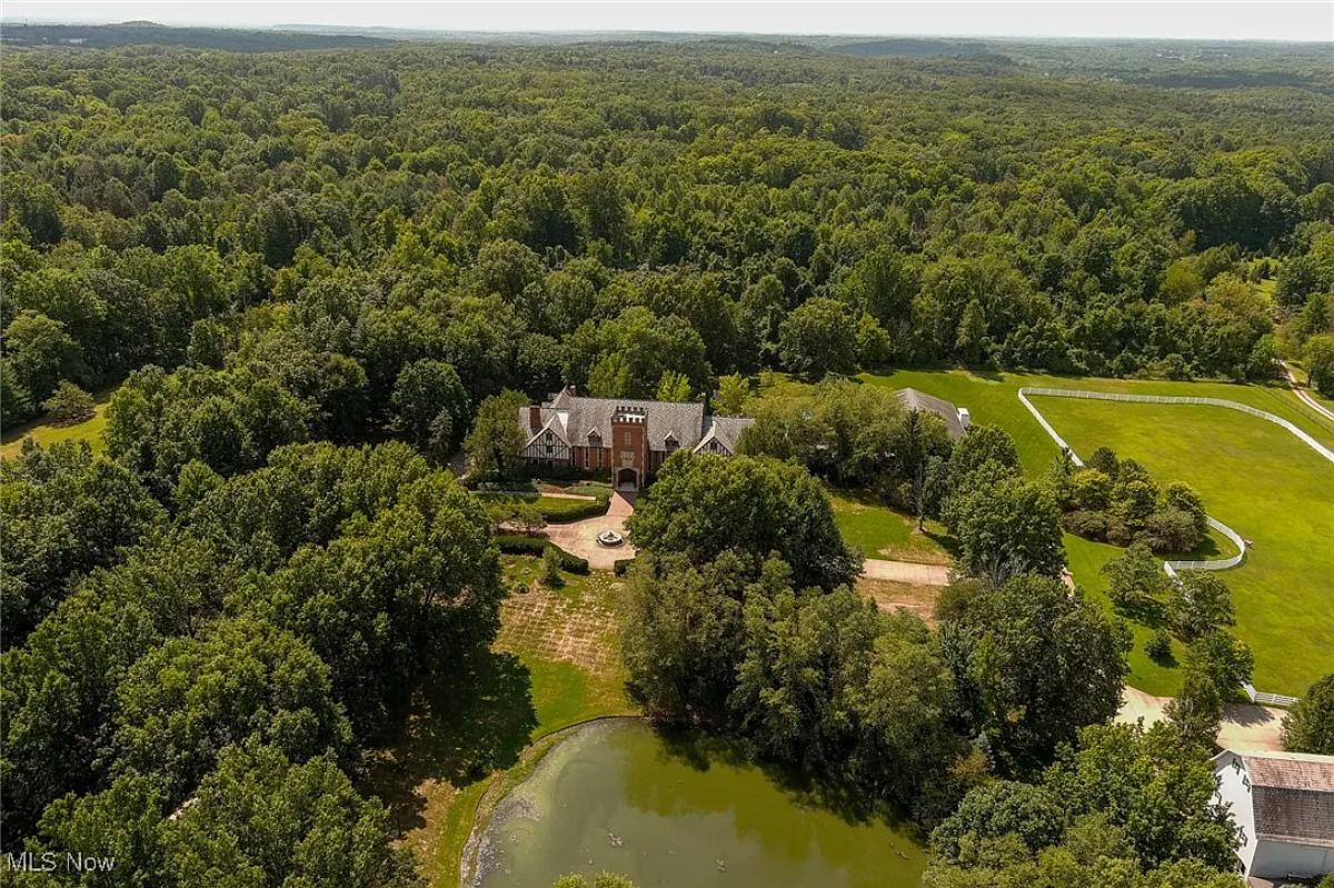 Aerial view of the mansion.