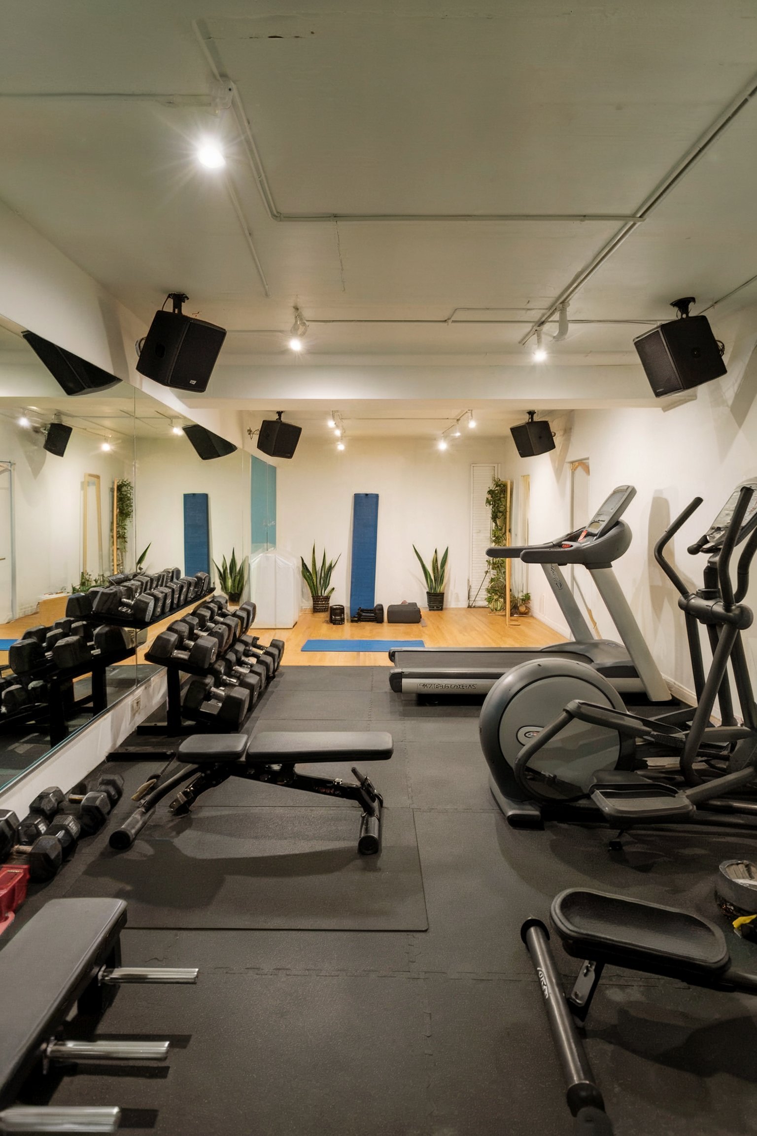 A spacious home gym with treadmills, dumbbells, workout benches, and mirrored walls, all illuminated by bright overhead lights