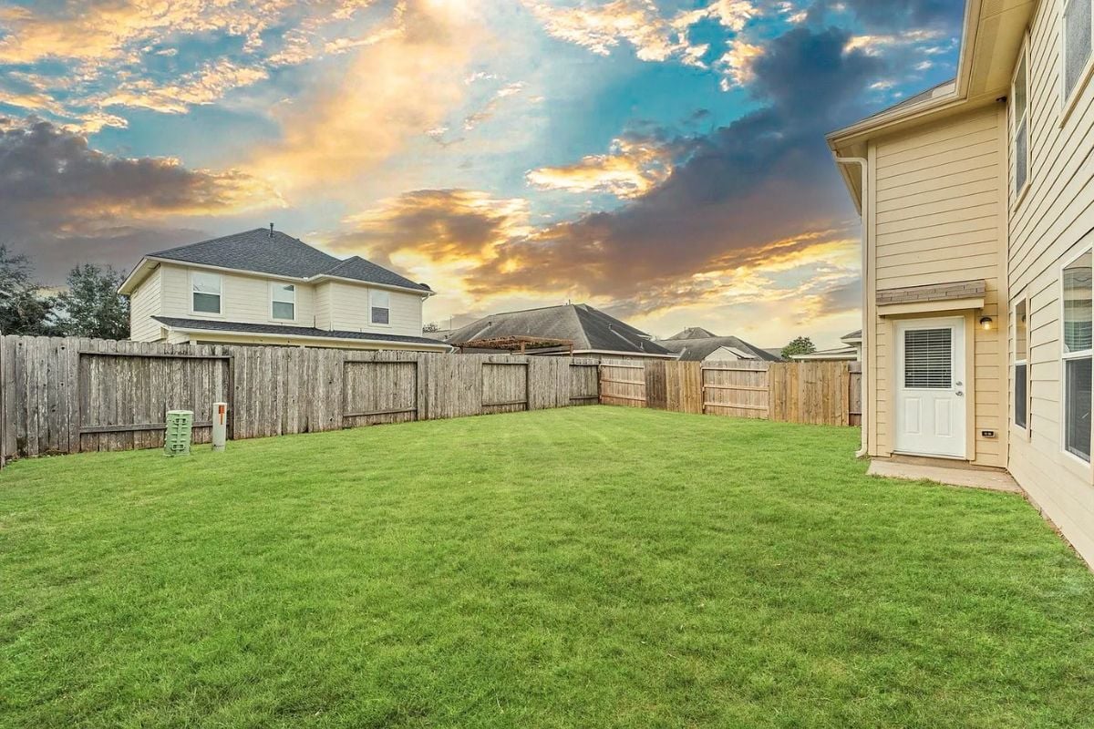Backyard