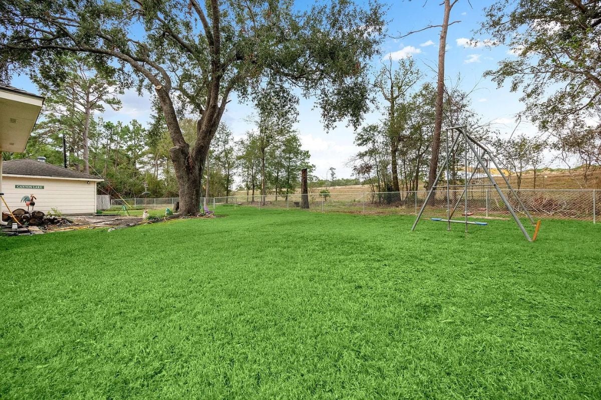 Backyard