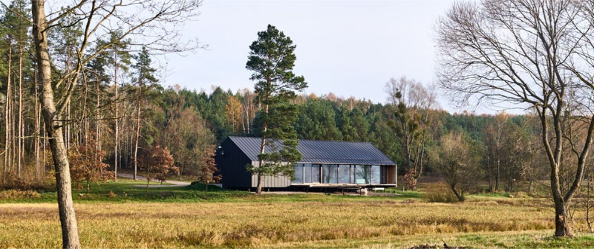 Modern long rectangular house situated in a field at the edge of a forest