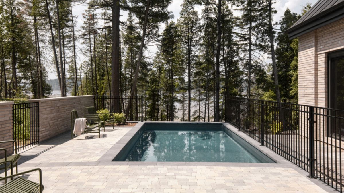 Rectangular pool overlooking the woods