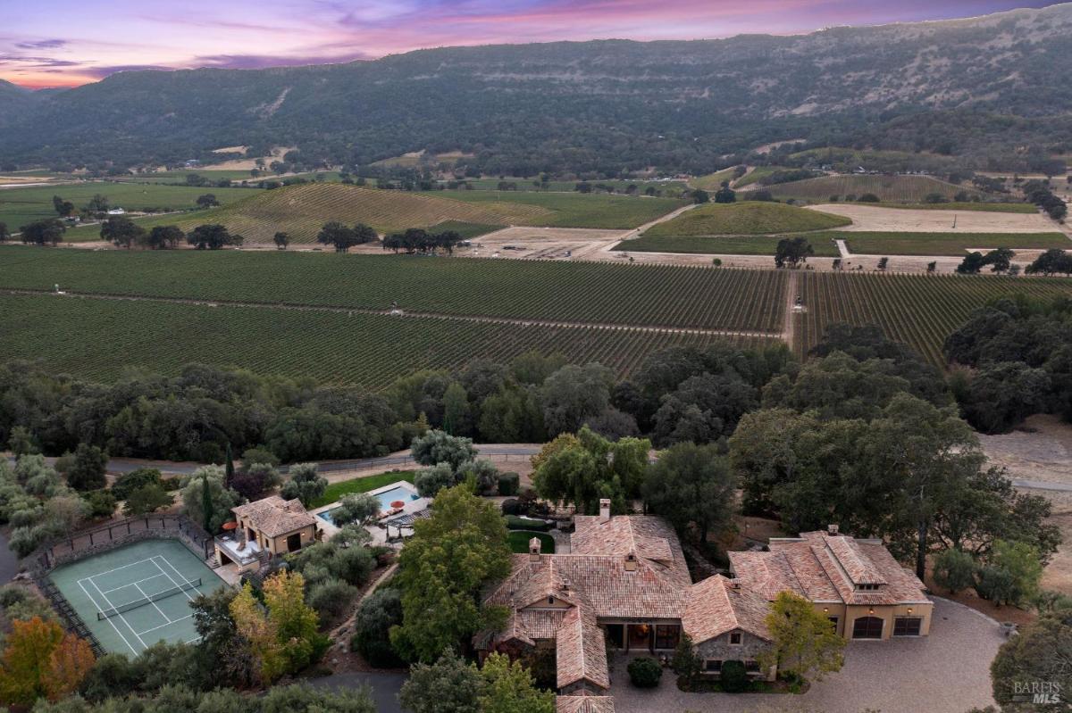 An expansive vineyard landscape with rows of vines and surrounding hills at sunset.