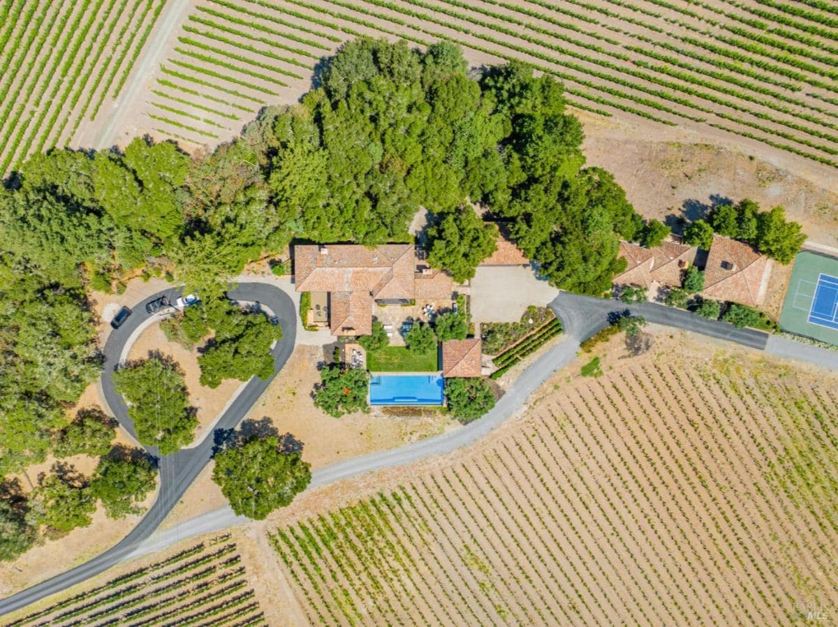 Aerial view of the house surrounded by vineyards.