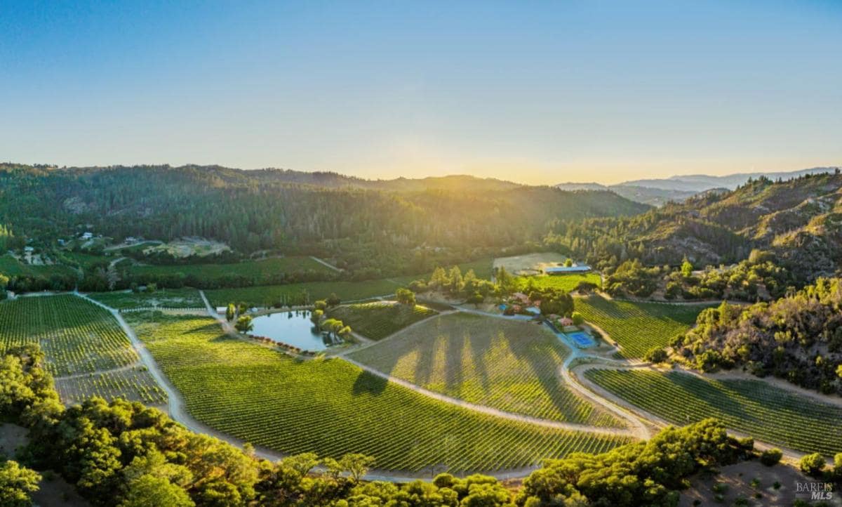 Aerial view of vineyards with surrounding hills.