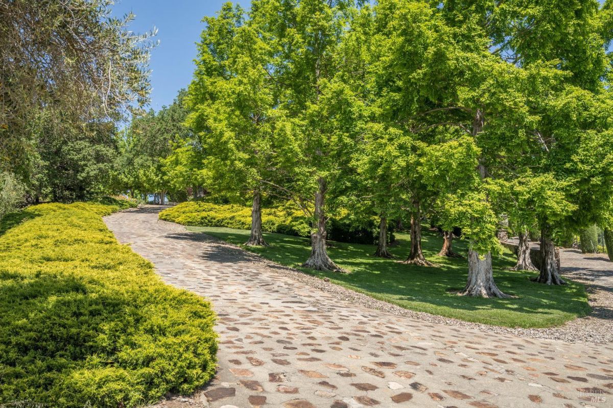 Winding stone pathway bordered by lush green trees and manicured bushes. The trees cast dappled shadows on the ground, with a mix of sunlight filtering through the leaves. The pathway curves gently to the left, leading further into a garden or park setting surrounded by dense greenery.