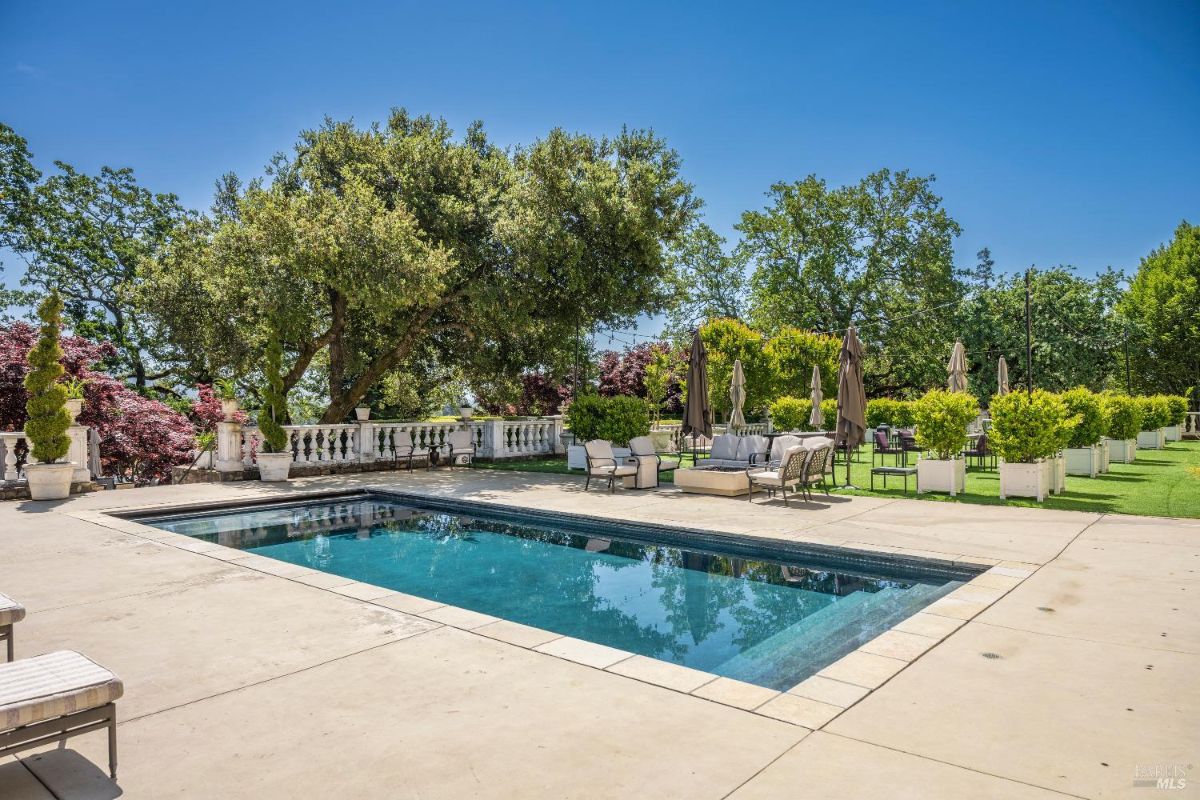 Outdoor pool surrounded by a paved deck area with lounge chairs and umbrellas. White potted plants line the perimeter of the space, and a section of manicured grass with additional seating is visible in the background. Large trees and greenery provide natural shade and serve as a backdrop to the pool area.
